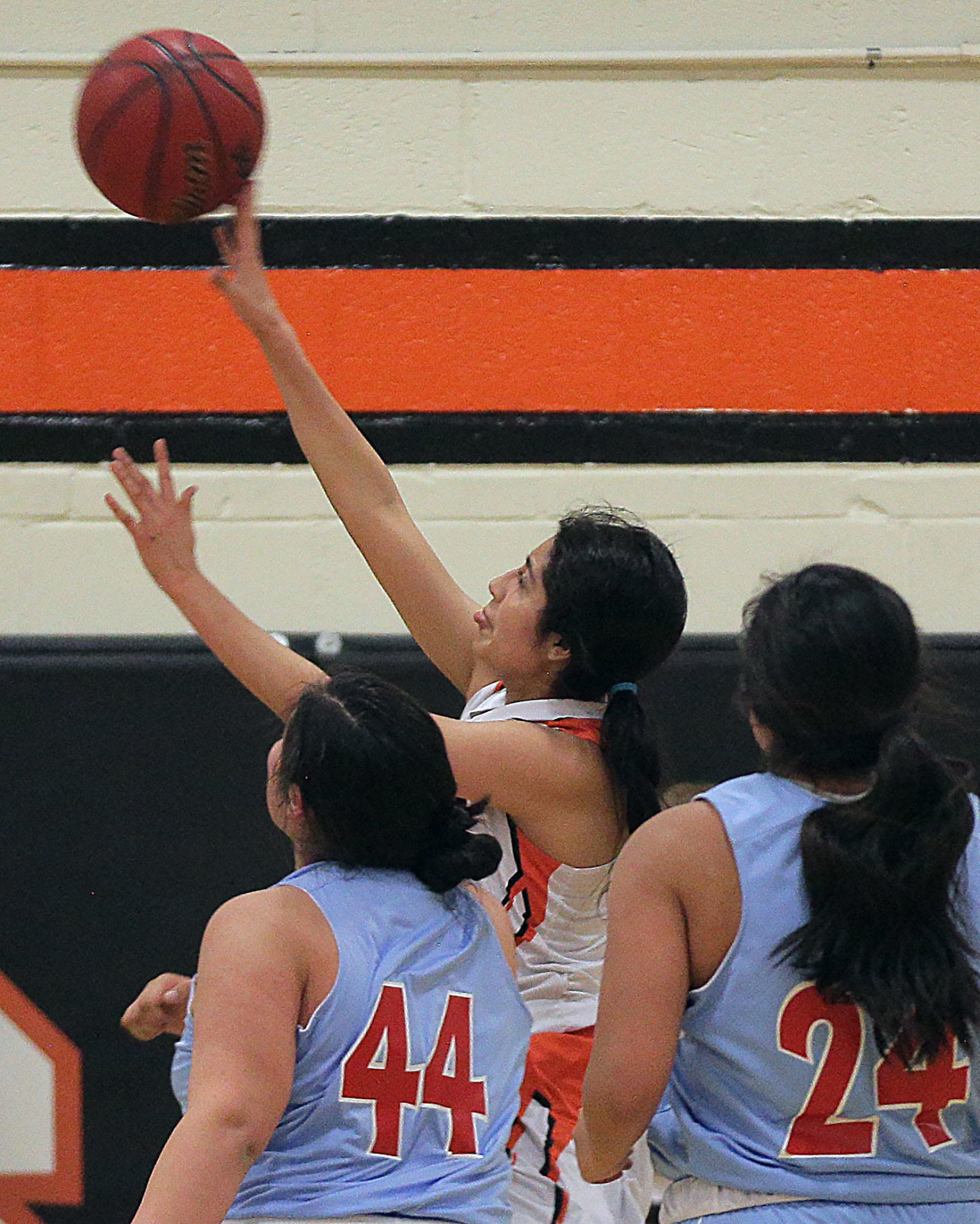 Owyhee at Wells Girls Basketball (90).jpg